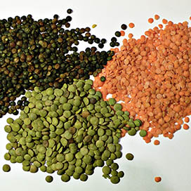 Lentils for Cholesterol Reduction