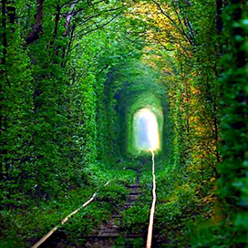 The abandoned tunnel of love