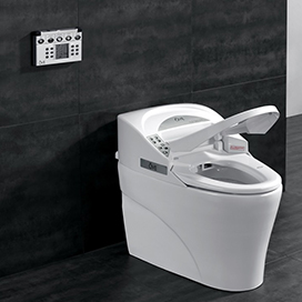 The Smart Toilet