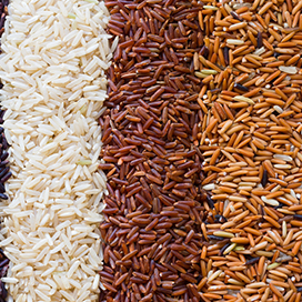 Different type of rice