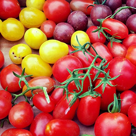 5 Different types of tomatoes and how to use each one of them