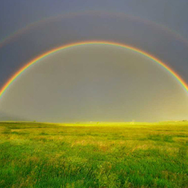 Twinned Rainbows