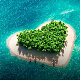 Book the honeymoon 5 months before the wedding