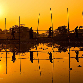 This country has 6 seasons every year!