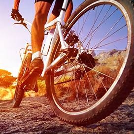 What happens during one hour of riding your bicycle?