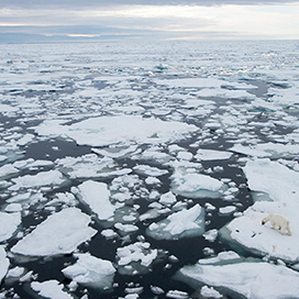 What could happen if the polar ice caps melt?