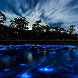 Tasmanias Glowing Water