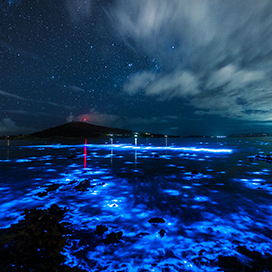 Tasmanias Glowing Water