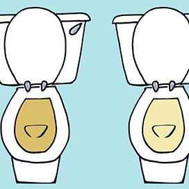 What does the color of your urine says about you?