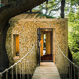 The most 5 fancy  trees houses in the world
