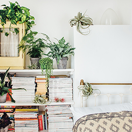 Plants in home decor reduce stress and help to sleep