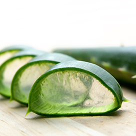 The benefits of using Aloe Vera for skin care