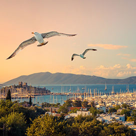 Top Attractions to Go to in Bodrum City
