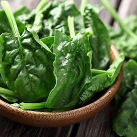 What are the Foods that Expel Nicotine?