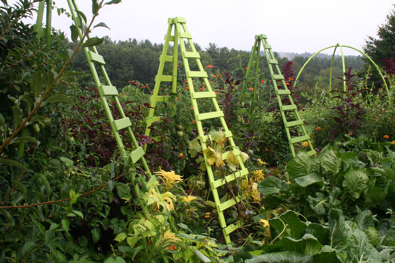 Recycle Old Ladders