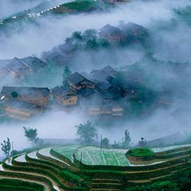Longsheng Rice Terrace