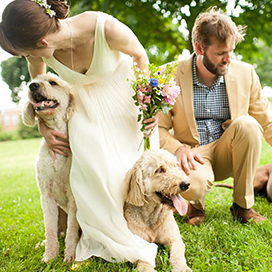 Including Pets in Your Wedding Day