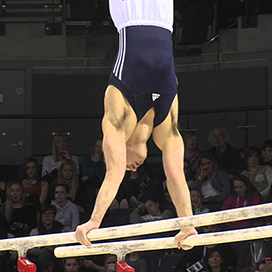 Parallel Bars