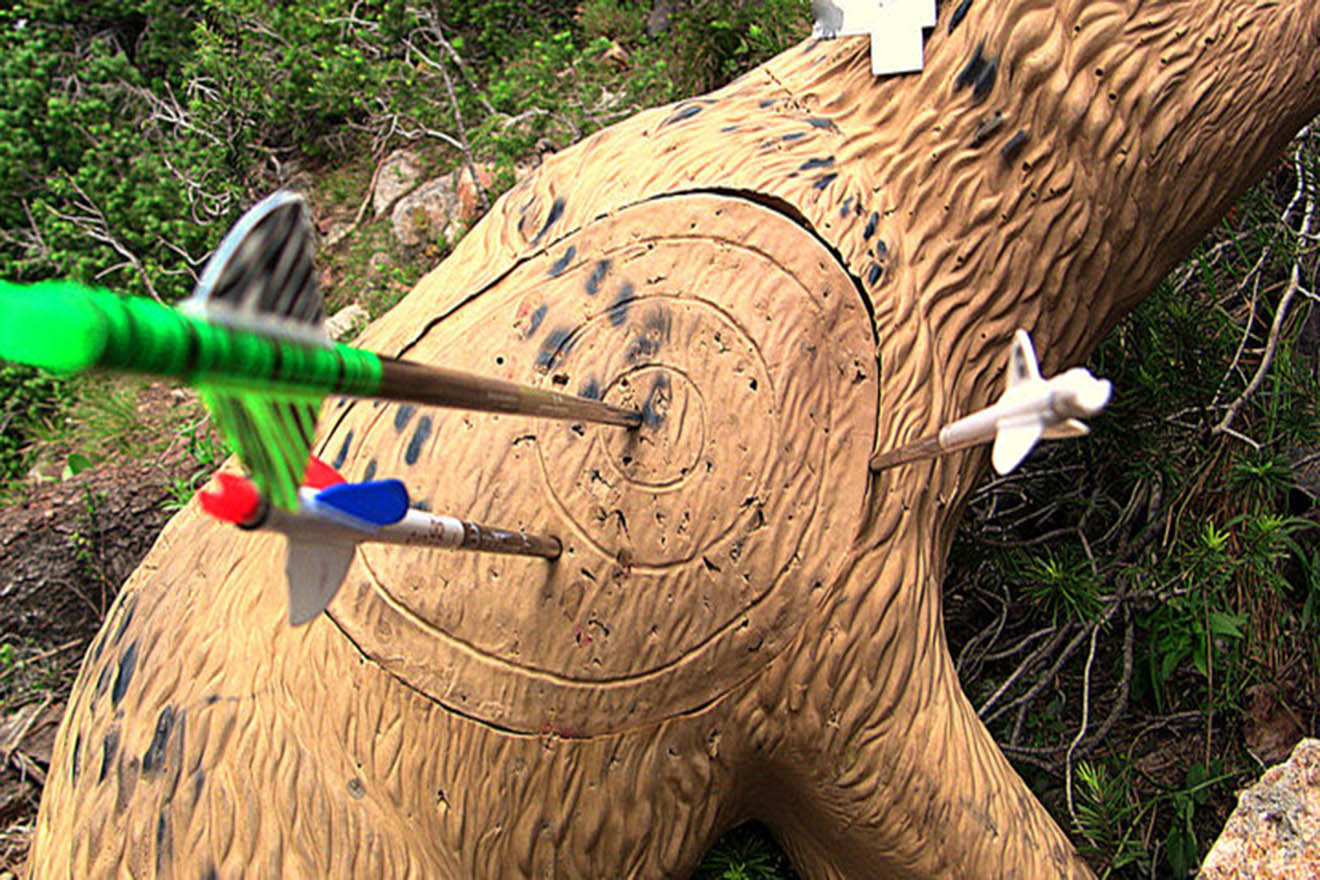 3D Archery