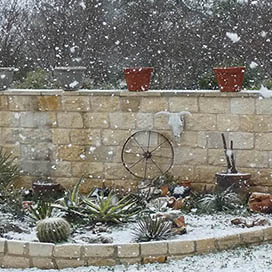 Snow & Gardening