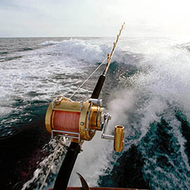 Sport Fishing