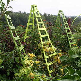 Recycle Old Ladders