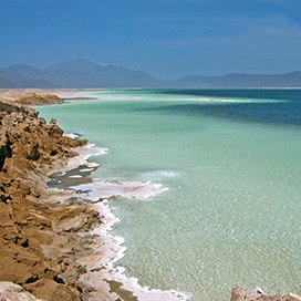 The Best Places to Visit in Djibouti