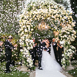 Rose Petals for Your Wedding