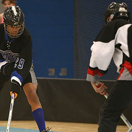 Floor Hockey