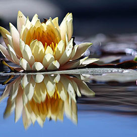 Use People as a Mirror